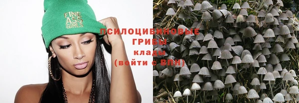 спайс Алексеевка